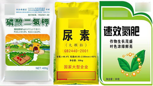 补救措施，你值得拥有