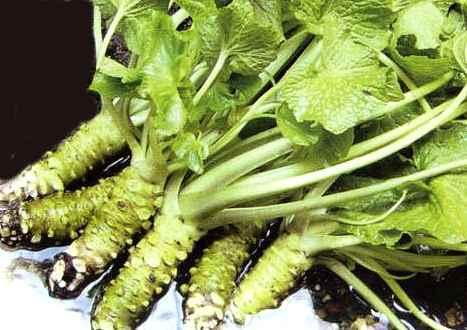 替代方法的探索