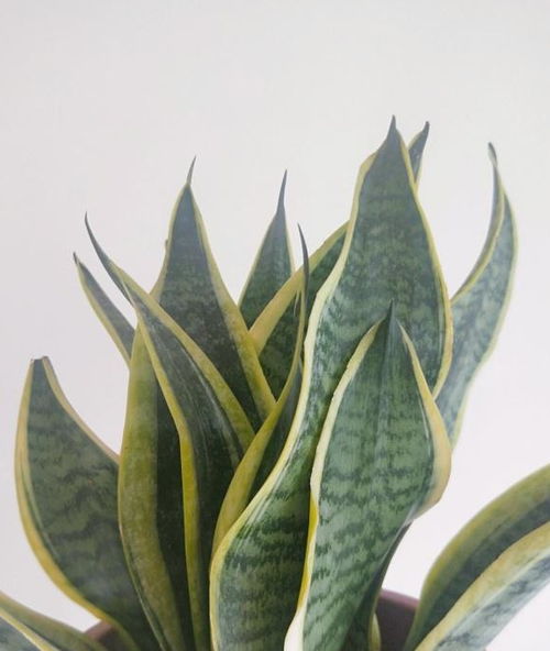 养护方法大揭秘