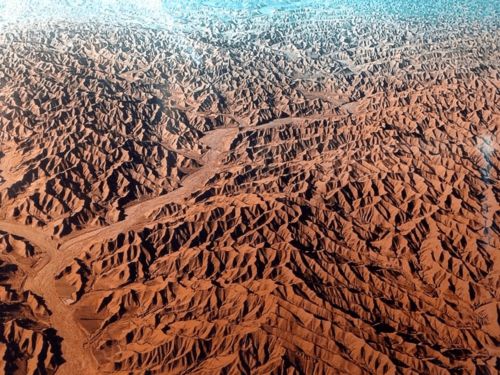 黄土高原区种植柴胡，土层温度降至8℃前必须下种