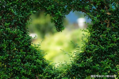 解锁自然之美， 诗意生活