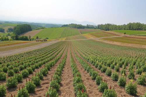 一、一级销售渠道