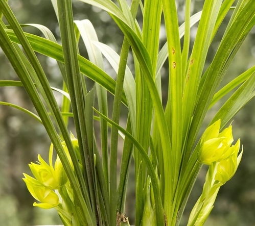 浇水：水是生命的源泉