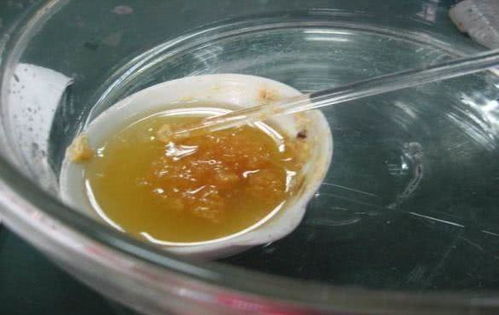 如何辨别鱼粉中常见的掺假成分，确保其真实性？