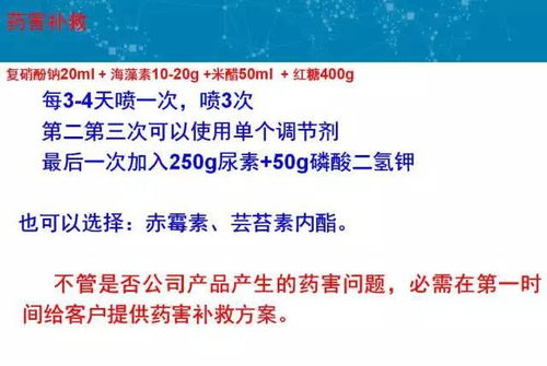 低温除草，时机选