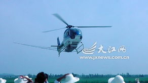 农药对生物的影响