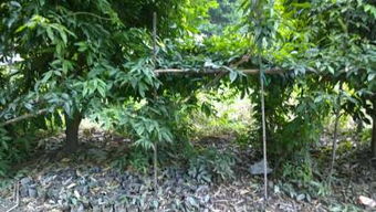 正规渠道大揭秘