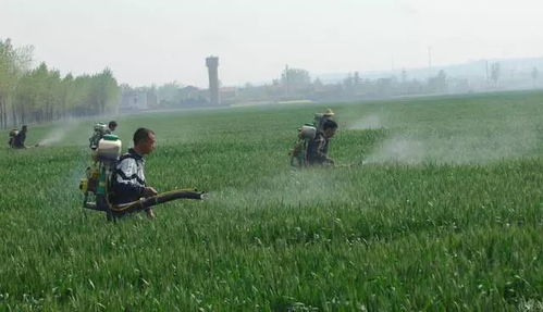 农作物保护与农药使用：合法与风险