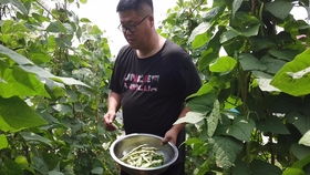 南方北方差异大得离谱！