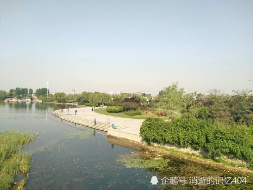 邯郸西部丘陵， 白芷的乐园