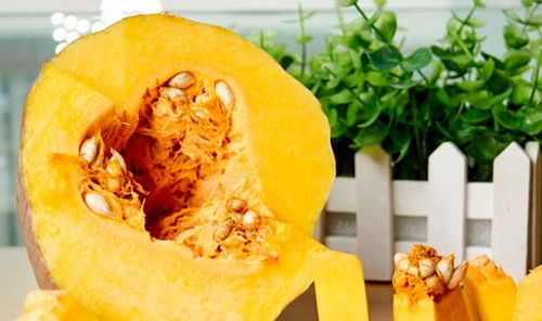 南瓜催熟那些事儿