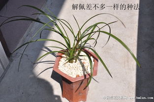 那要是我不小心兑多了咋办？