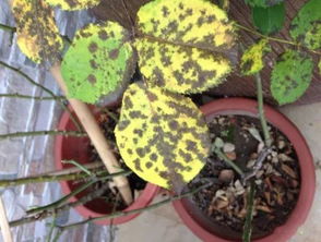 治疗方法，我来告诉你