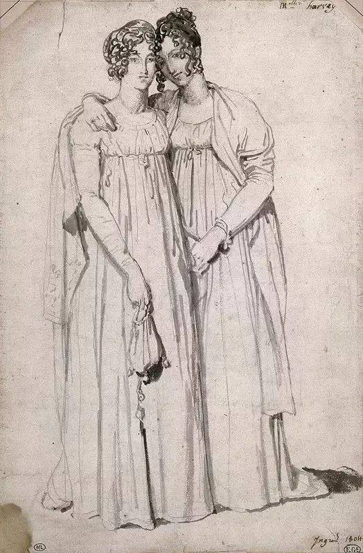 月季花开， 线条舞动