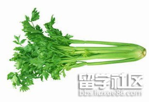 检测方法与处理措施