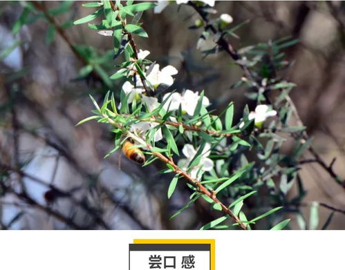 怎么种得多产量高