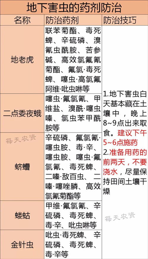 地下害虫的危害