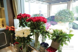 家庭储存干燥花的小秘诀