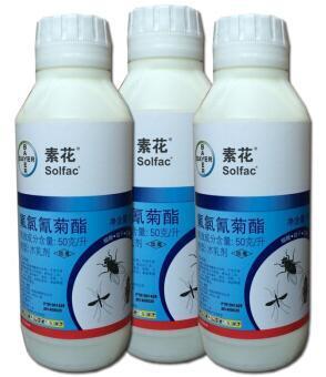 为什么喷杀虫剂后蟑螂还是屡杀不绝？揭秘蟑螂的生存之道