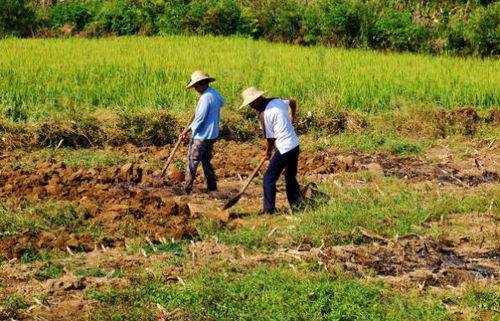 老李的教训，浓度要准