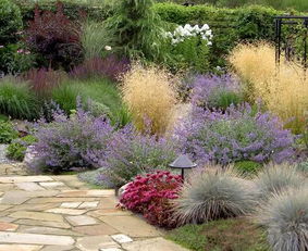 绿化庭院，选草还是种球根？五大对比教你打造完美花境