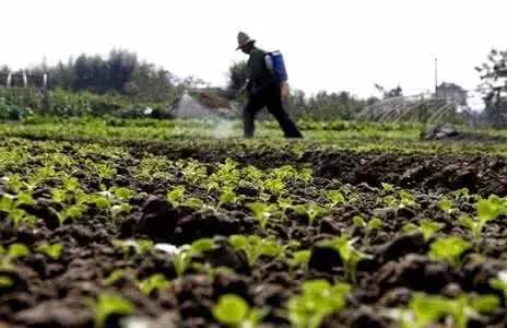 百菌清， 广谱防范，治疗作用小