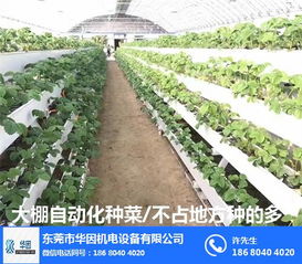 农民伯伯种菜不容易， 农药残留咋处理