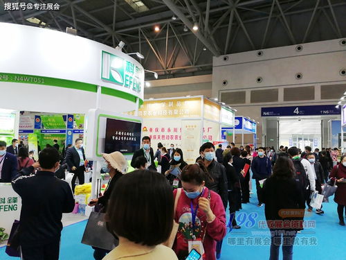 北大荒农服集团， 服务小农户