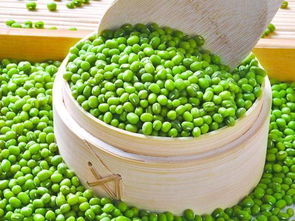 观察绿豆发芽，你发现哪些奇妙变化