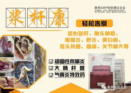 规模化养殖场挑战与应对策略