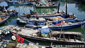 人工养殖鱿鱼，开启海洋渔业新篇章