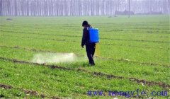 不是杀虫剂的作用方式