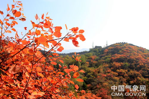 特殊时期护理！