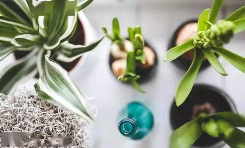 接着，我们要堪预算