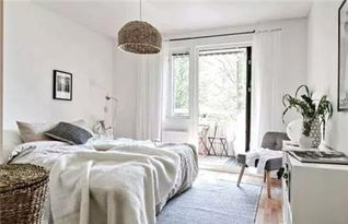 常春藤卧室佳品，美室净气两相宜！