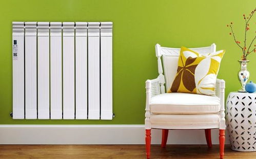 冬天暖气房里养啥花，你知道吗？