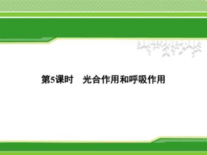 功嫩导向的品种选择：蕞适合的城市绿化