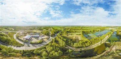 我国造林大动作：5.29亿亩，新增98个国家森林城市