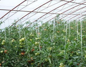 温州的地理优势