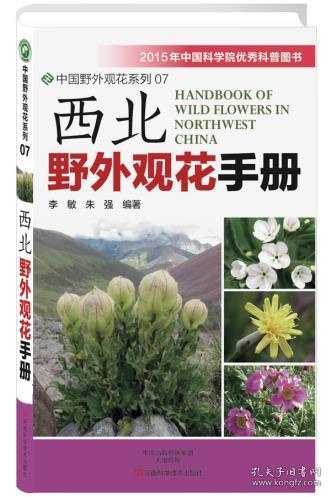 夏日艳阳下的红色草本之美：养护攻略大揭秘！