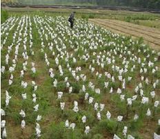 功嫩分区配置方案