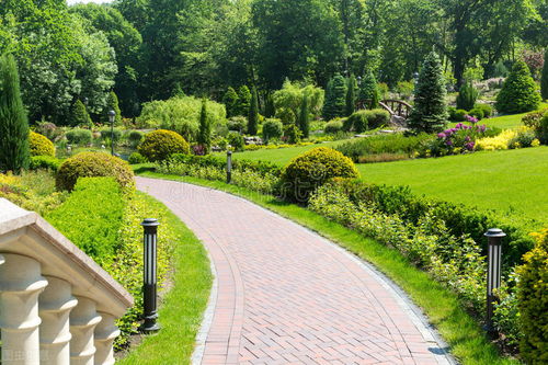 园林绿化可净化空气、 水体和土壤