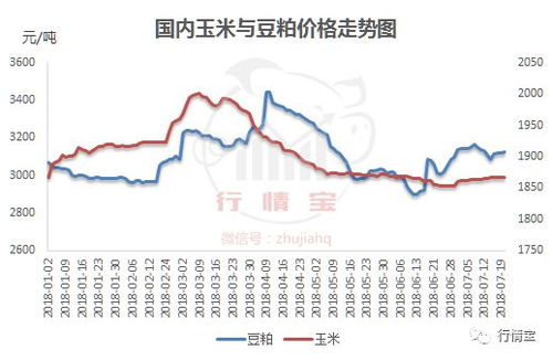 周口地区今日猪价具体是多少？豆粕走势对猪价有何影响？