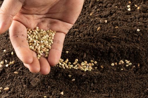 经营种子农药化肥的利润空间