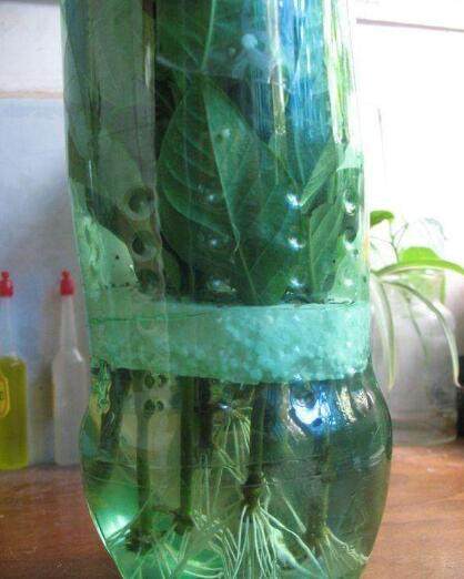 工具准备，基础步骤