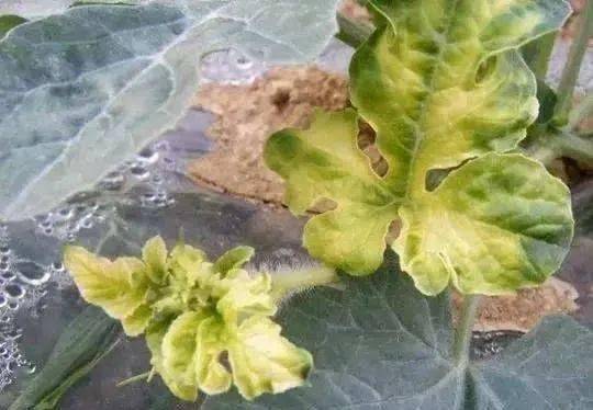 2. 佩戴防护装备