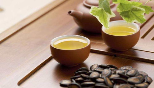 揭秘山茶与滇山茶：区别大解析，选对茶品更懂生活！