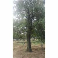 一、 合作社简介