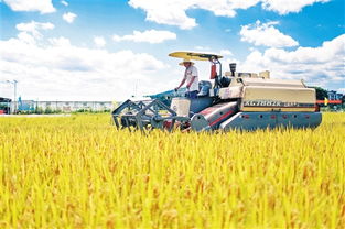 线下产业带实地探访：实地考察，放心购买