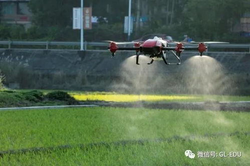 如何选择飞防除草剂